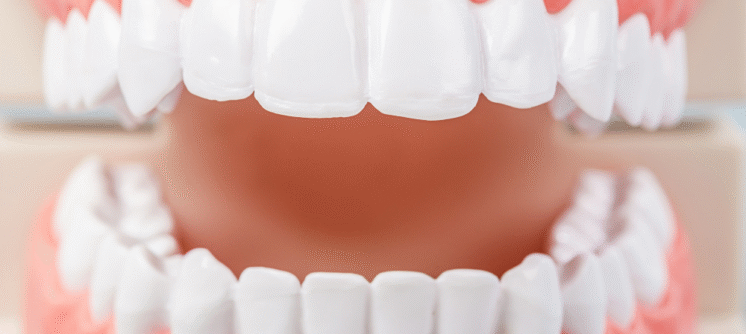 Design sans titre (39)